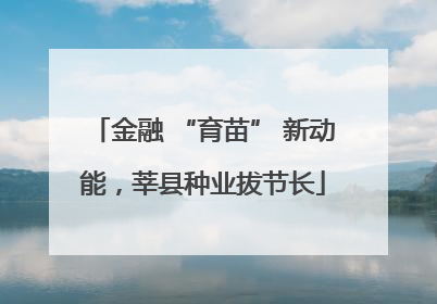 金融 “育苗” 新动能，莘县种业拔节长