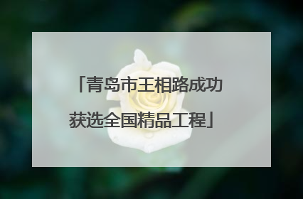 青岛市王相路成功获选全国精品工程