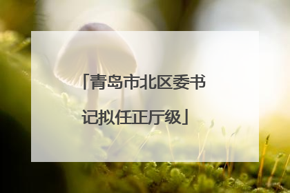 青岛市北区委书记拟任正厅级