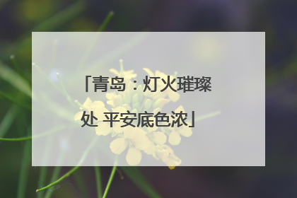 青岛：灯火璀璨处 平安底色浓