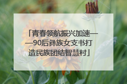 青春领航振兴加速——90后彝族女支书打造民族团结智慧村