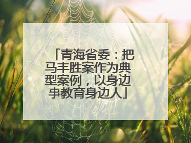 青海省委：把马丰胜案作为典型案例，以身边事教育身边人
