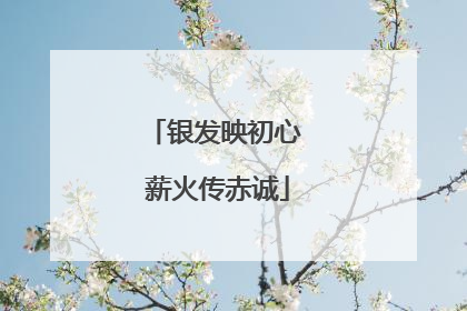 银发映初心 薪火传赤诚