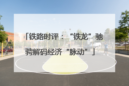 铁路时评：“铁龙”驰骋解码经济“脉动”