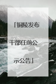 铜陵发布干部任前公示公告