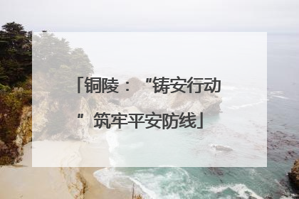 铜陵：“铸安行动”筑牢平安防线