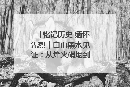 铭记历史 缅怀先烈｜白山黑水见证：从烽火硝烟到振兴热土的巨变