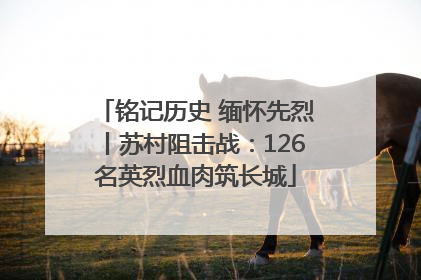 铭记历史 缅怀先烈丨苏村阻击战：126名英烈血肉筑长城