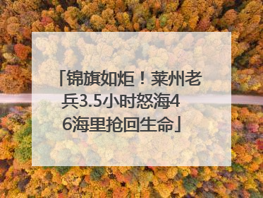 锦旗如炬！莱州老兵3.5小时怒海46海里抢回生命