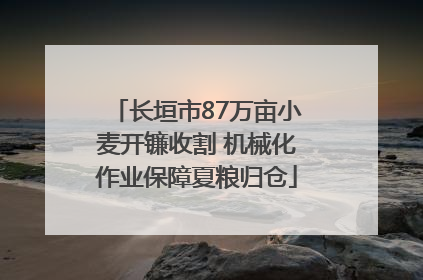 长垣市87万亩小麦开镰收割 机械化作业保障夏粮归仓