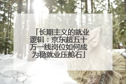 长期主义的就业逻辑：京东超五十万一线岗位如何成为稳就业压舱石