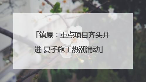 镇原：重点项目齐头并进 夏季施工热潮涌动