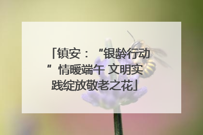 镇安：“银龄行动”情暖端午 文明实践绽放敬老之花