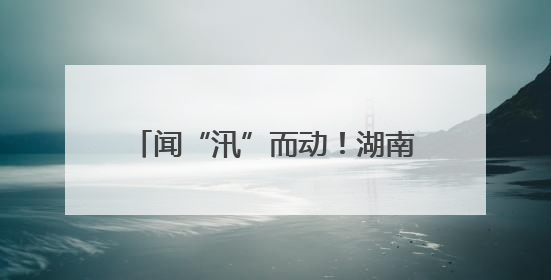 闻“汛”而动！湖南新宁应急铁军实战演练筑牢“安全堤”