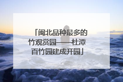 闽北品种最多的竹观赏园——杜潭百竹园建成开园