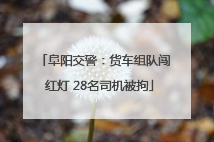 阜阳交警：货车组队闯红灯 28名司机被拘