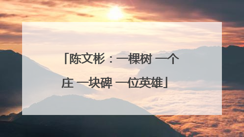 陈文彬：一棵树 一个庄 一块碑 一位英雄