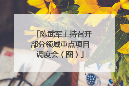 陈武军主持召开部分领域重点项目调度会（图）