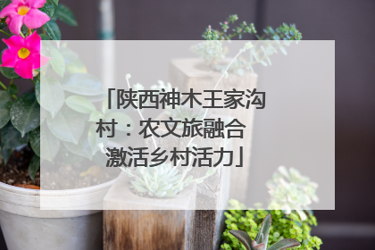 陕西神木王家沟村：农文旅融合 激活乡村活力