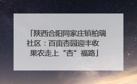 陕西合阳同家庄镇柏瑞社区：百亩杏园迎丰收 果农走上“杏”福路