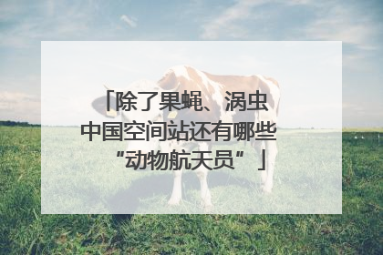 除了果蝇、涡虫 中国空间站还有哪些“动物航天员”