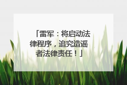 雷军：将启动法律程序，追究造谣者法律责任！