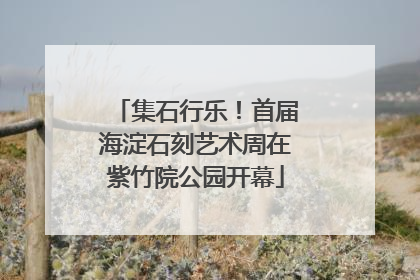 集石行乐！首届海淀石刻艺术周在紫竹院公园开幕