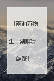 雨润万物生，湖畔舞翩跹
