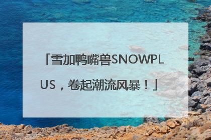 雪加鸭嘴兽SNOWPLUS，卷起潮流风暴！