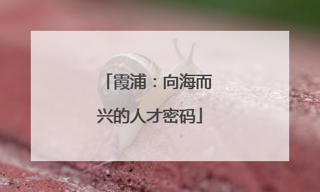 霞浦：向海而兴的人才密码