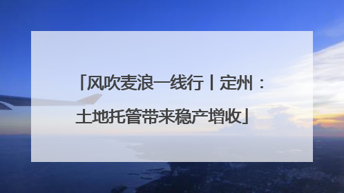 风吹麦浪一线行丨定州：土地托管带来稳产增收