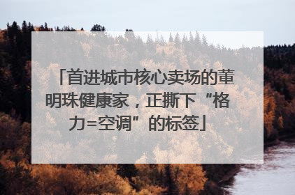 首进城市核心卖场的董明珠健康家，正撕下“格力=空调”的标签