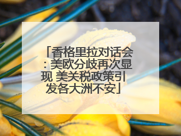 香格里拉对话会：美欧分歧再次显现 美关税政策引发各大洲不安