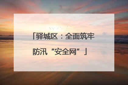 驿城区：全面筑牢防汛“安全网”