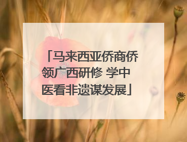 马来西亚侨商侨领广西研修 学中医看非遗谋发展