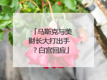 马斯克与美财长大打出手？白宫回应