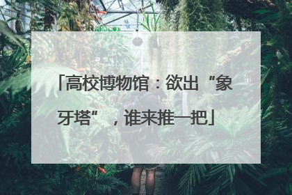 高校博物馆：欲出“象牙塔”，谁来推一把