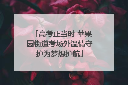 高考正当时 苹果园街道考场外温情守护为梦想护航