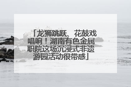 龙狮跳跃、花鼓戏唱响！湖南有色金属职院这场沉浸式非遗游园活动很带感
