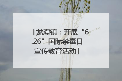 龙潭镇：开展“6.26”国际禁毒日宣传教育活动