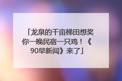 龙泉的千亩梯田想奖你一晚民宿一只鸡！《90早新闻》来了