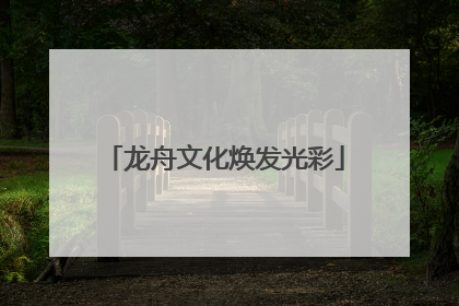 龙舟文化焕发光彩