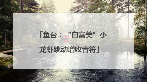鱼台：“白富美”小龙虾跳动增收音符
