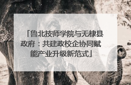鲁北技师学院与无棣县政府：共建政校企协同赋能产业升级新范式