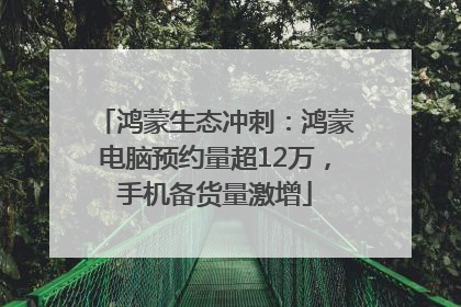 鸿蒙生态冲刺：鸿蒙电脑预约量超12万，手机备货量激增