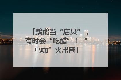 鹦鹉当“店员”，有时会“吃醋”！“鸟咖”火出圈