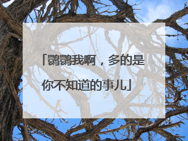 鹮鹮我啊，多的是你不知道的事儿