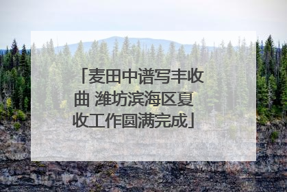 麦田中谱写丰收曲 潍坊滨海区夏收工作圆满完成