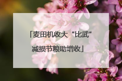 麦田机收大“比武” 减损节粮助增收