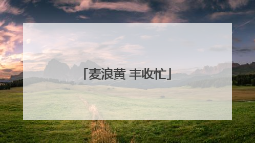 麦浪黄 丰收忙